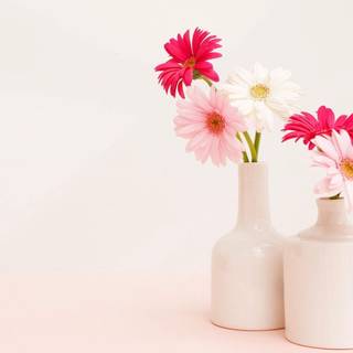 Spring flower vase wallpaper