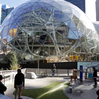 Amazon office wallpaper