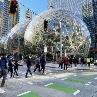 Amazon office wallpaper