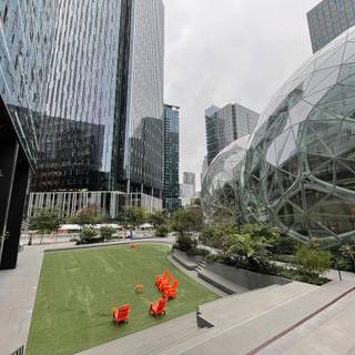 Amazon office wallpaper