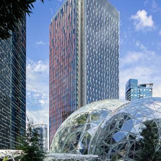 Amazon office wallpaper