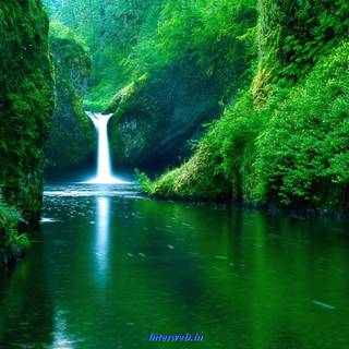 Green view wallpaper