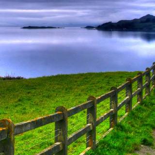 Green view wallpaper