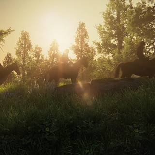 The Last of Us Remake wallpaper