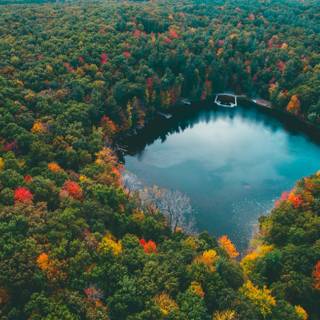 Green view wallpaper