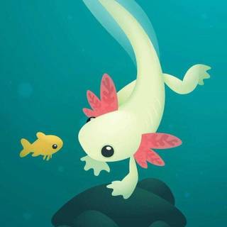 Cartoon axolotl wallpaper