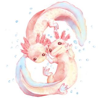 Cartoon axolotl wallpaper