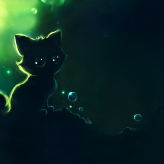 Night cat wallpaper