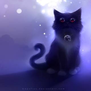 Night cat wallpaper