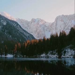 Granola girl wallpaper