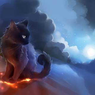 Night cat wallpaper