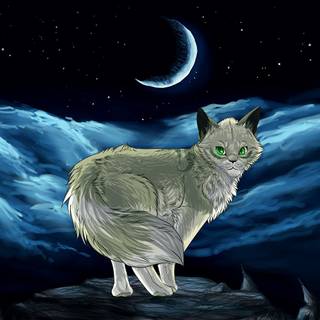 Night cat wallpaper