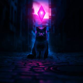 Night cat wallpaper