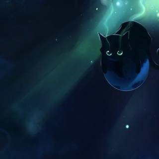 Night cat wallpaper