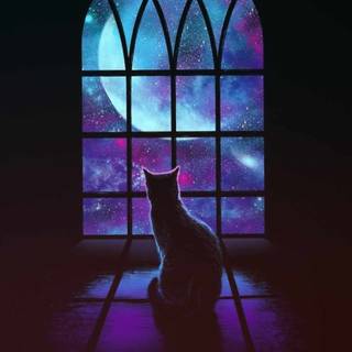 Night cat wallpaper