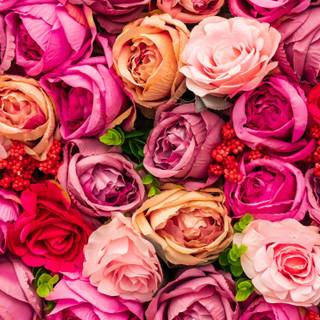 Spring perfume wallpaper