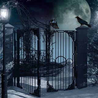 Winter fantasy 1920x1080 wallpaper