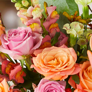 Spring flower mobile wallpaper