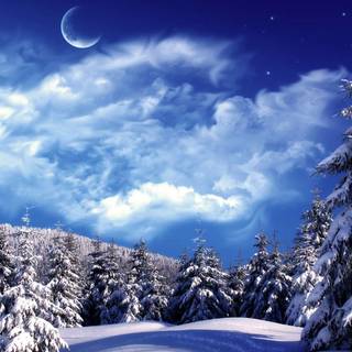 Winter fantasy 1920x1080 wallpaper