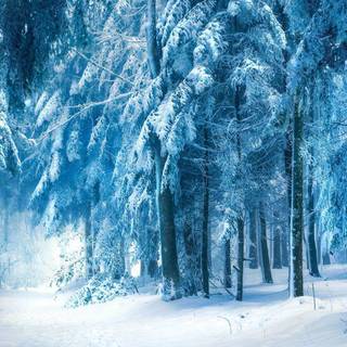 Winter fantasy 1920x1080 wallpaper