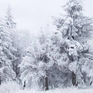 Winter fantasy 1920x1080 wallpaper