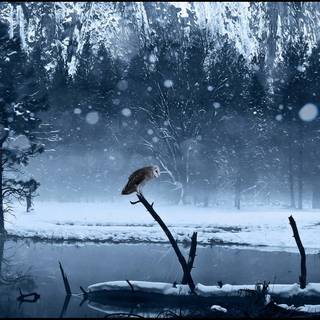 Winter fantasy 1920x1080 wallpaper
