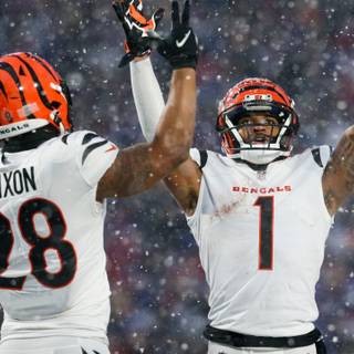 AFC Championship 2023 wallpaper