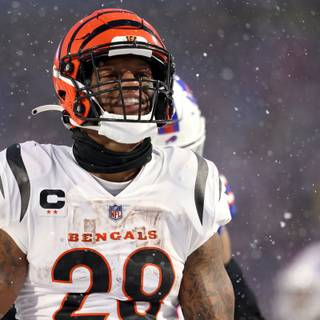 AFC Championship 2023 wallpaper