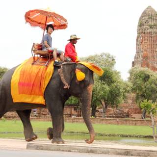 Thailand elephant wallpaper