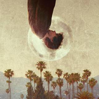 Knight of Cups wallpaper