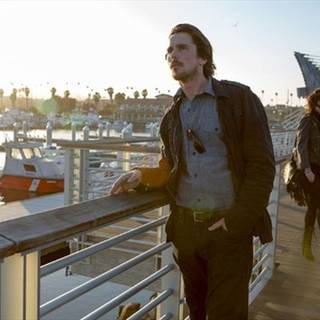 Knight of Cups wallpaper