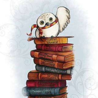 Harry Potter Kawaii wallpaper