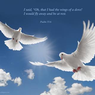 Evangelical wallpaper