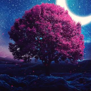 Tree moon wallpaper