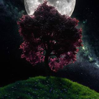 Tree moon wallpaper