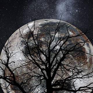 Tree moon wallpaper