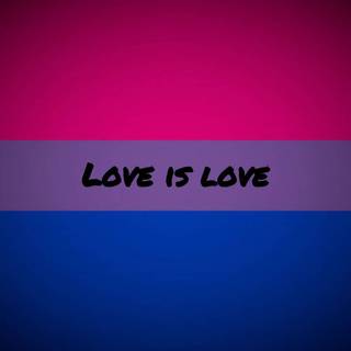 Bi pride flag wallpaper