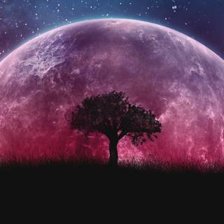 Tree moon wallpaper