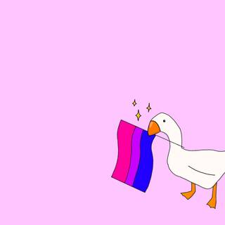 Bi pride flag wallpaper