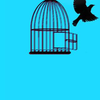 Center Notch wallpaper