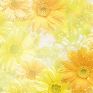 Yellowish wallpaper