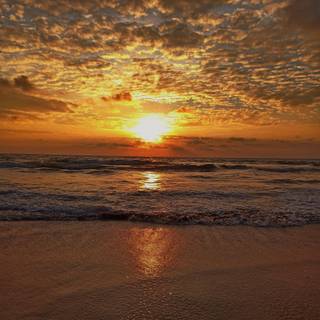 Marina beach wallpaper