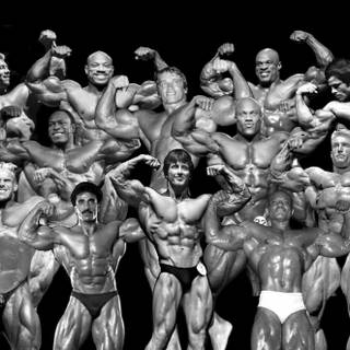 All bodybuilder wallpaper