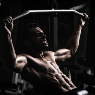 All bodybuilder wallpaper