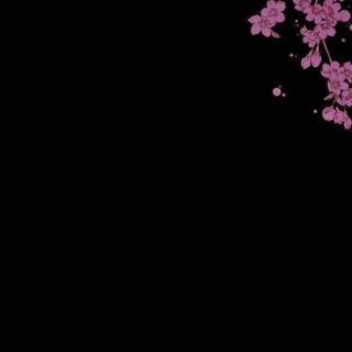 Dark Cherry Blossom wallpaper