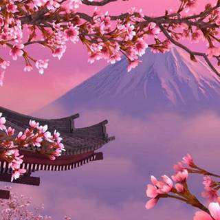 Dark Cherry Blossom wallpaper