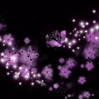 Dark Cherry Blossom wallpaper