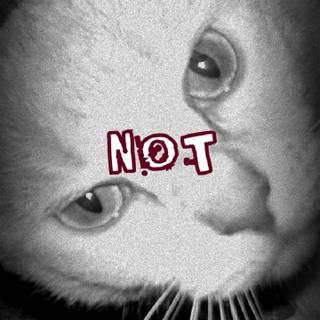 Stay off my phone wallpaper