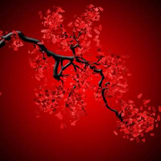 Dark Cherry Blossom wallpaper