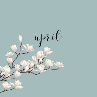 Phone spring aesthetic wallpaper